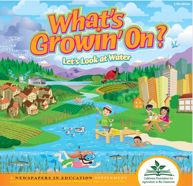 WGO 13th ed. - Let's Look at Water