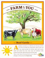 Farm to You: Beef Cattle Lesson/Activity (5-12)