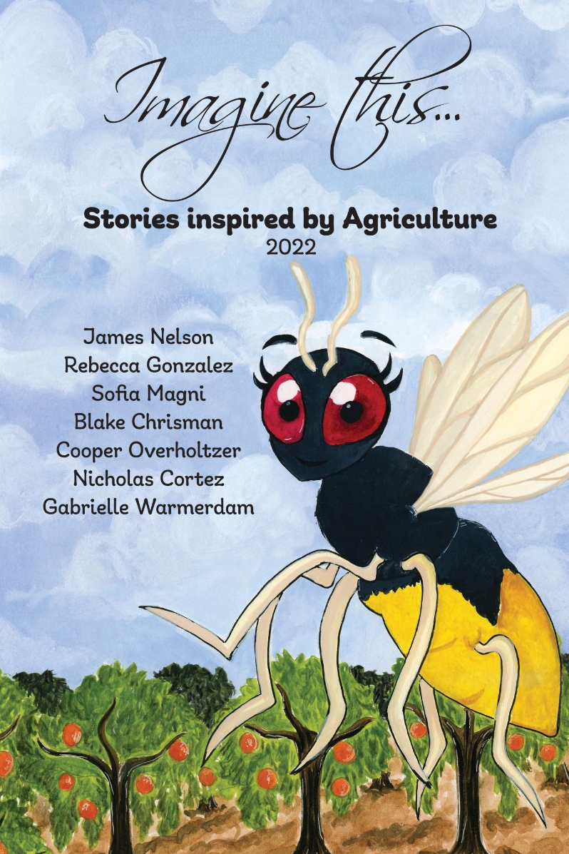 Product Description: Featuring stories from the 2022Imagine this… contest. Authors include James Nelson, Rebecca Gonzalez, Sofia Magni, Blake Chrisman, Cooper Overholtzer, Nicholas Cortez, Gabrielle Warmerdam.</br> 2022 Imagine this... book