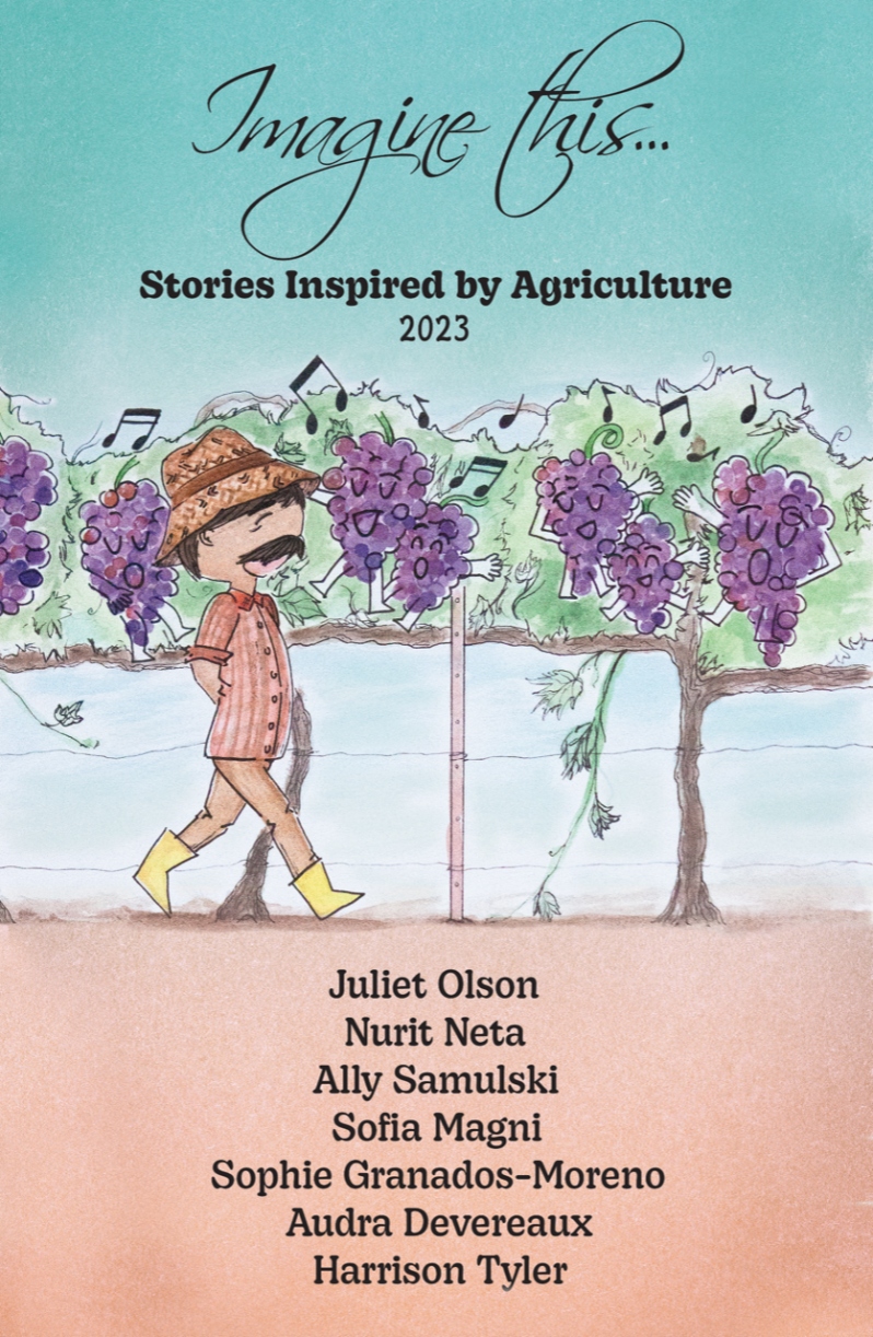 Product Description: 2023 Imagine this... book